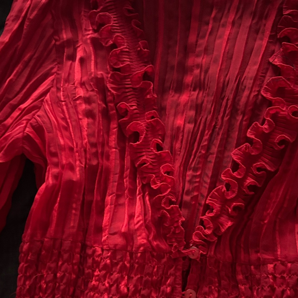 Red Sheer Ruffled Blouse - Picture 3 of 5